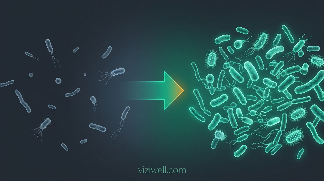 Illustration article : Probiotiques et dépression : ce que dit la science sur l'axe intestin-cerveau